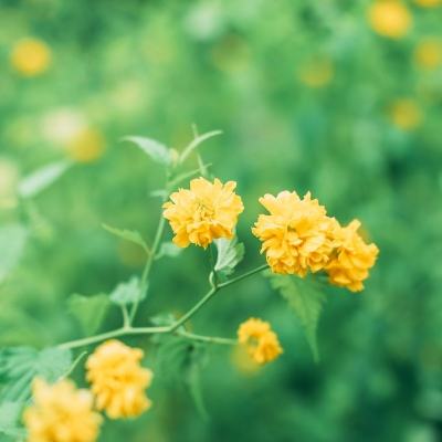 青龙偃月传内购破解版下载